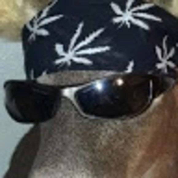 binkman75